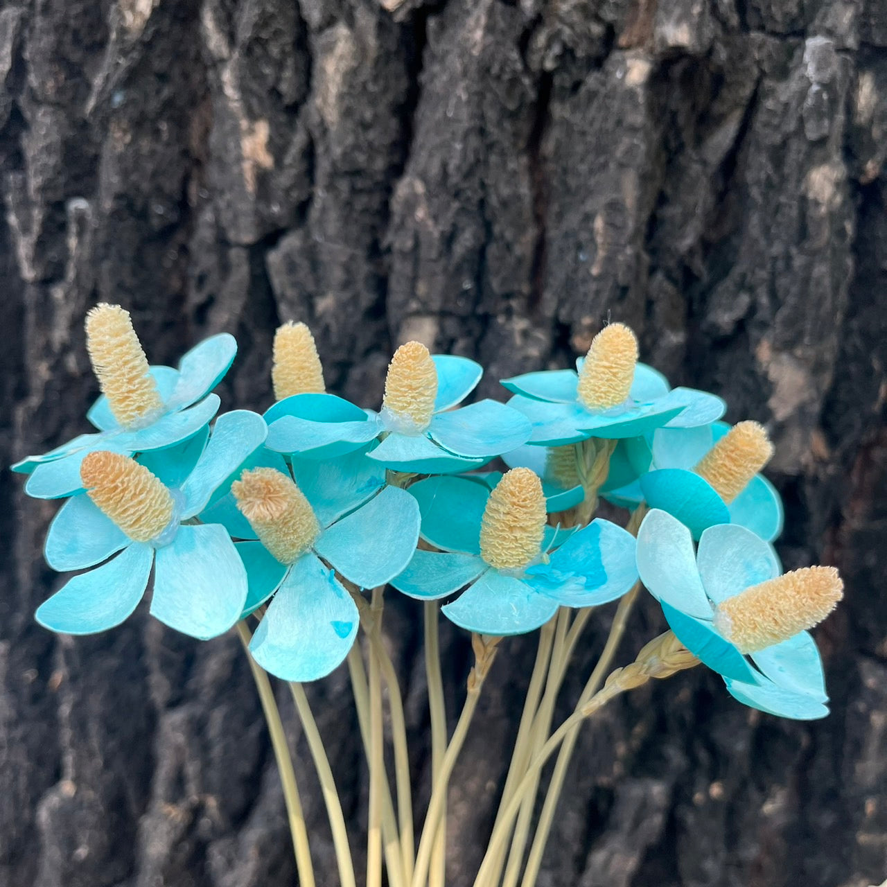 ✿ 台灣現貨 ✿ SH50 紫羅蘭 原裝 十支裝  手工花