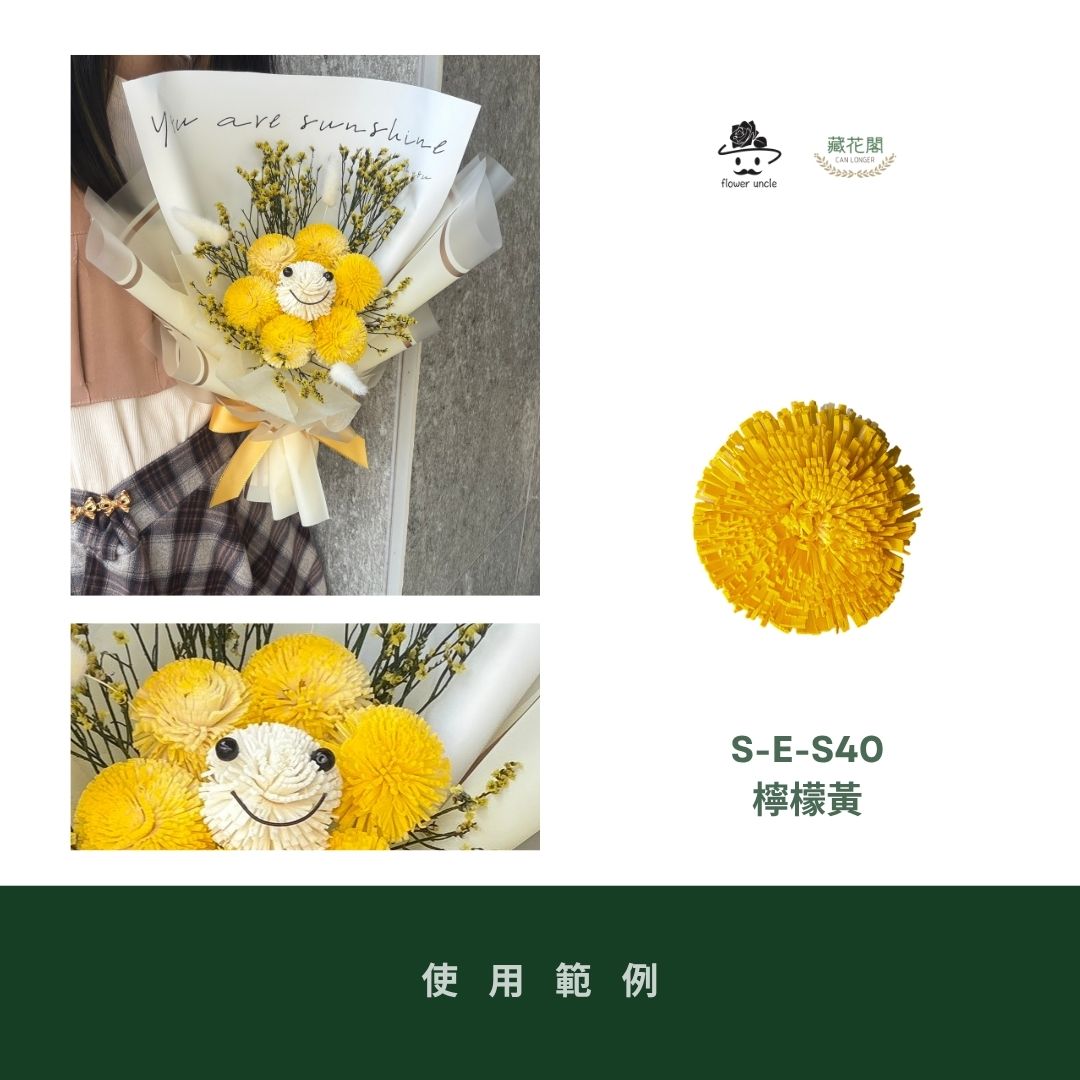 S-E 5CM乒乓菊索拉花｜五入原裝｜索拉花乾燥花 通草花 擴香花 微笑乒乓菊DIY 笑哈哈花束花材 乒乓花 乾燥花
