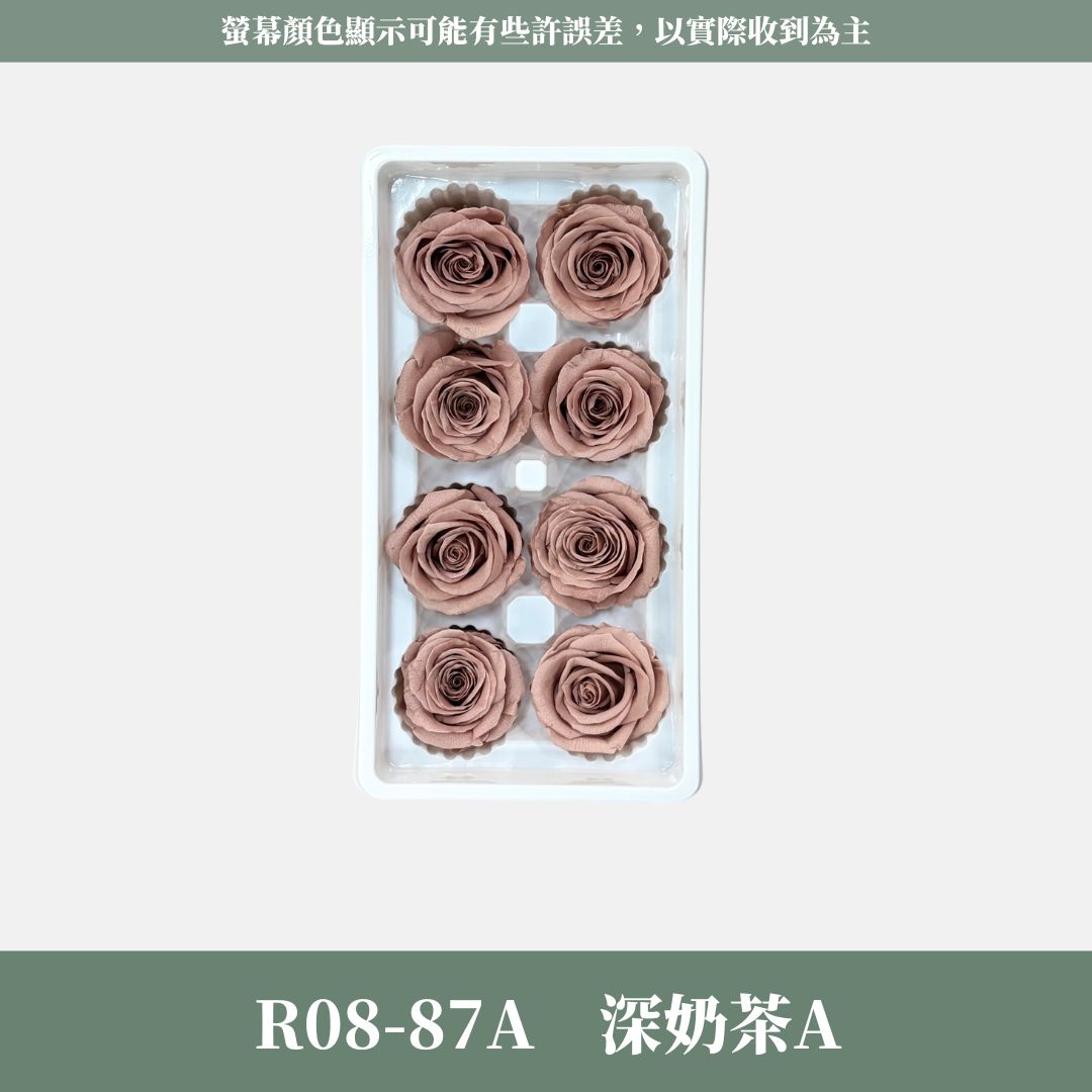 R08 A級八輪玫瑰｜約 4-5 cm｜花藝師必買 不凋大玫瑰花頭 永生玫瑰 香頌玫瑰 甦醒玫瑰 花束材料 捧花材料