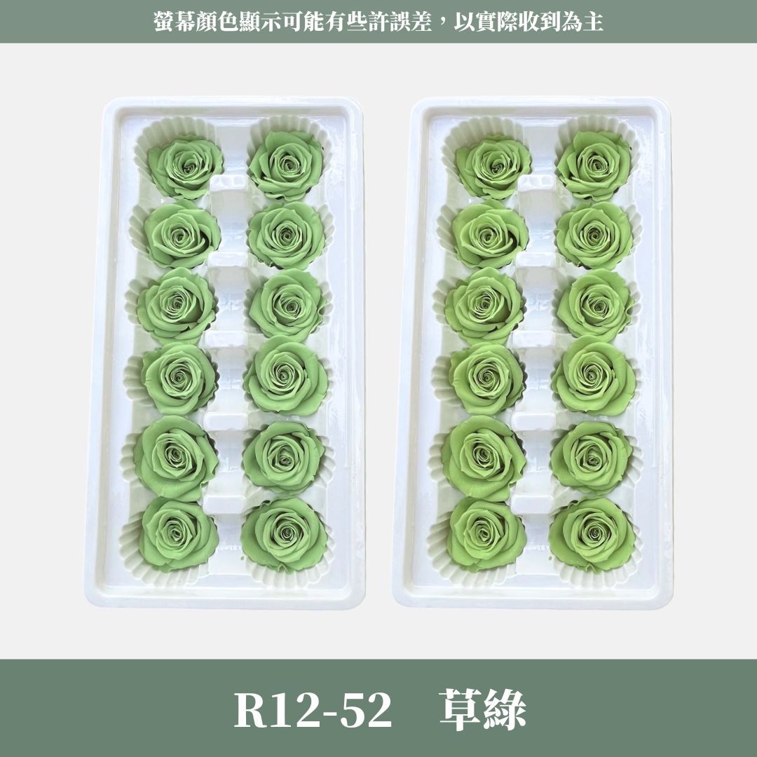 R12 A級十二輪玫瑰｜買12朵省120元｜約 3-4 cm｜花藝師必買 不凋大玫瑰花頭 永生玫瑰 花束材料 捧花材料