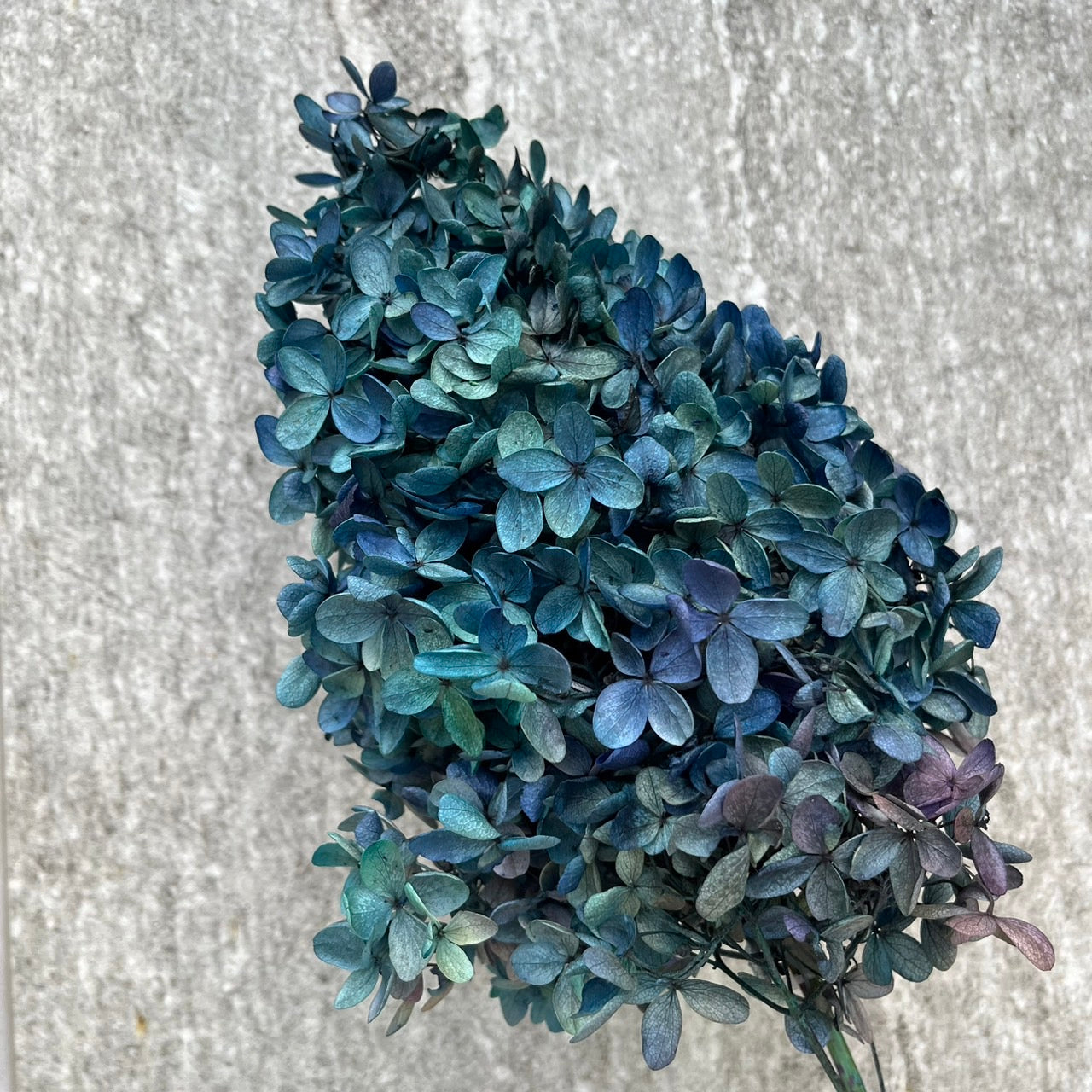 ✿ 台灣現貨 ✿ PF005C金字塔繡球 單隻 塔繡球 木繡球 永生 漸變 原裝