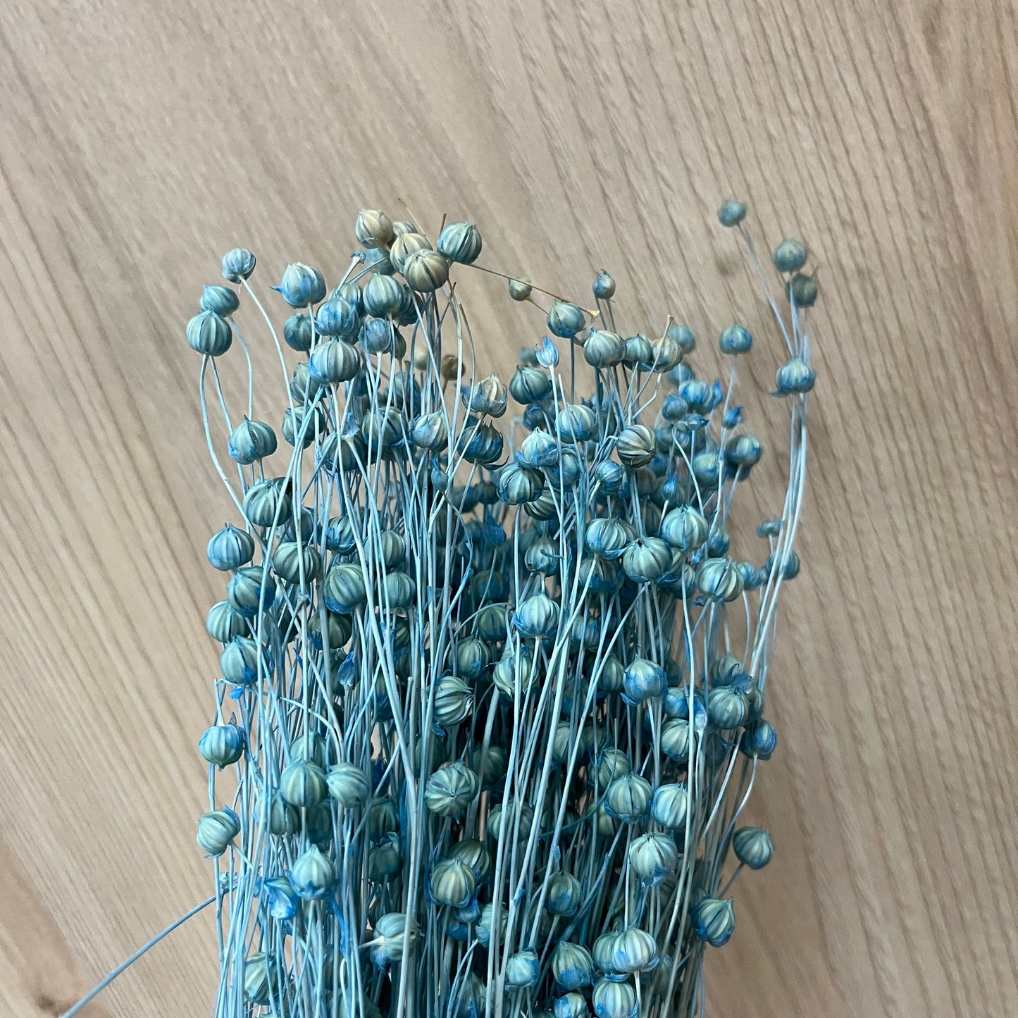 DA015 臨花 台灣現貨
