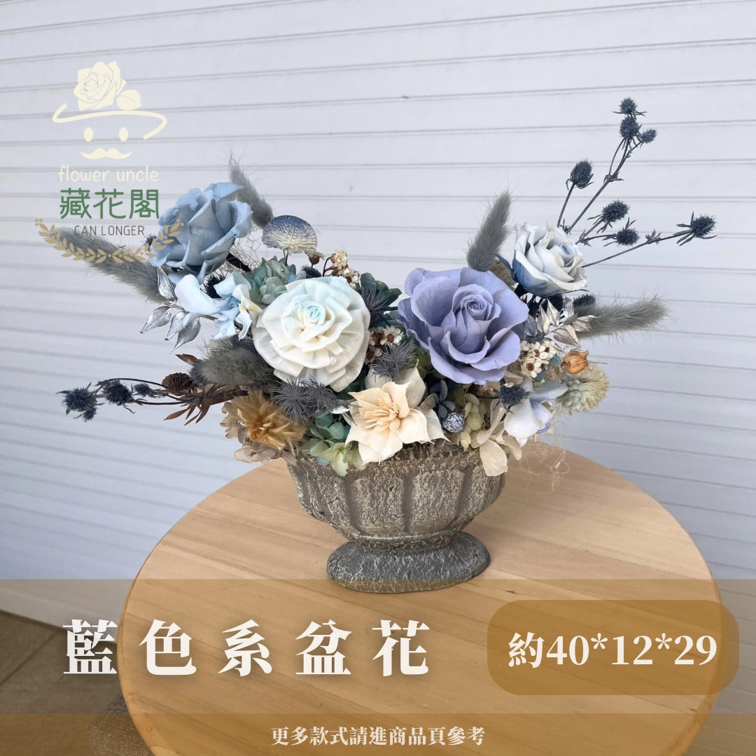 Gift-F068 藍色系陶瓷盆花 藍色 盆花 開幕 送禮 慶賀 擺飾 裝飾品