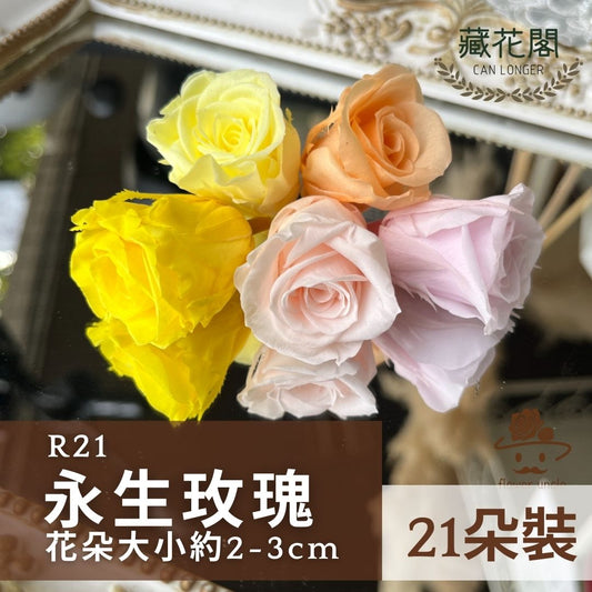 ✿ 台灣現貨 ✿ R21 永生玫瑰 2~3cm玫瑰 Ａ級 21朵裝 不凋花 永生花