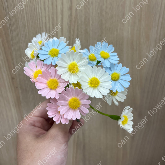 AS004 洋甘菊5頭 香皂花