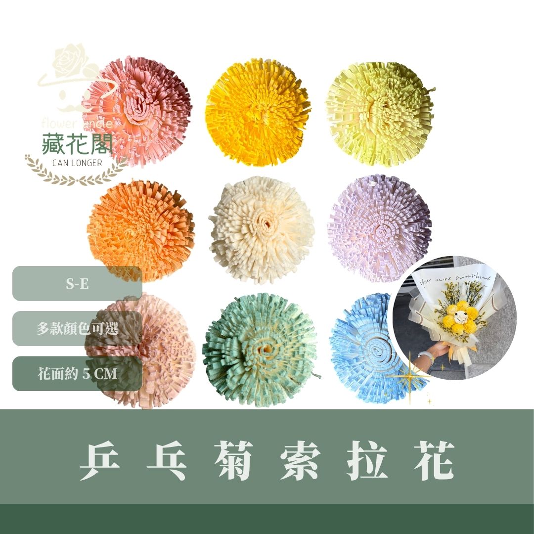 S-E 5CM乒乓菊索拉花｜五入原裝｜索拉花乾燥花 通草花 擴香花 微笑乒乓菊DIY 笑哈哈花束花材 乒乓花 乾燥花
