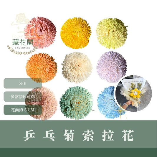 S-E 5CM乒乓菊索拉花｜五入原裝｜索拉花乾燥花 通草花 擴香花 微笑乒乓菊DIY 笑哈哈花束花材 乒乓花 乾燥花
