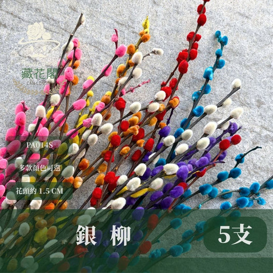 PA014S 銀柳經濟包｜招財永生銀柳枝條 彩色貓柳 染色細柱柳 春節花禮 過年花材 節氣佈置 年宵花 乾燥花