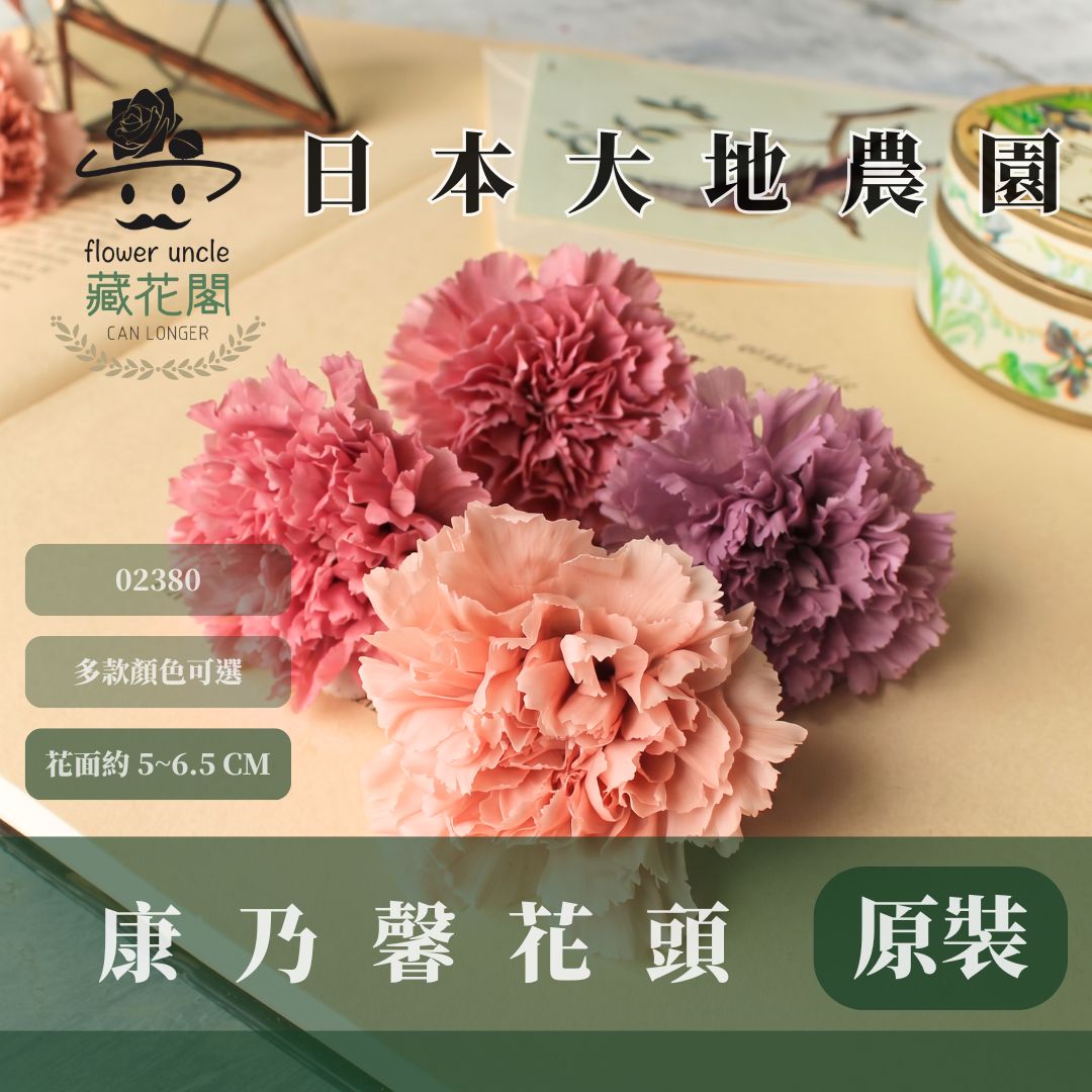 02380 原裝日本大地農園康乃馨｜5-6.5cm｜日本進口母親節永生康乃馨 永生花 不凋花 母親節手作材料 花材 花頭
