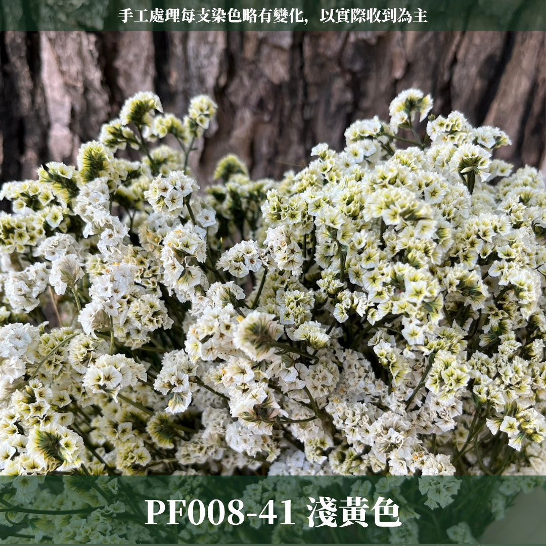 PF008 原裝水晶花｜現貨