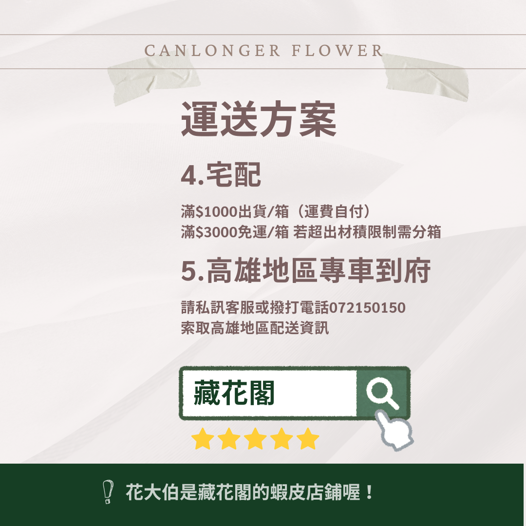 ✿ 台灣現貨 ✿ SH50 紫羅蘭 原裝 十支裝  手工花