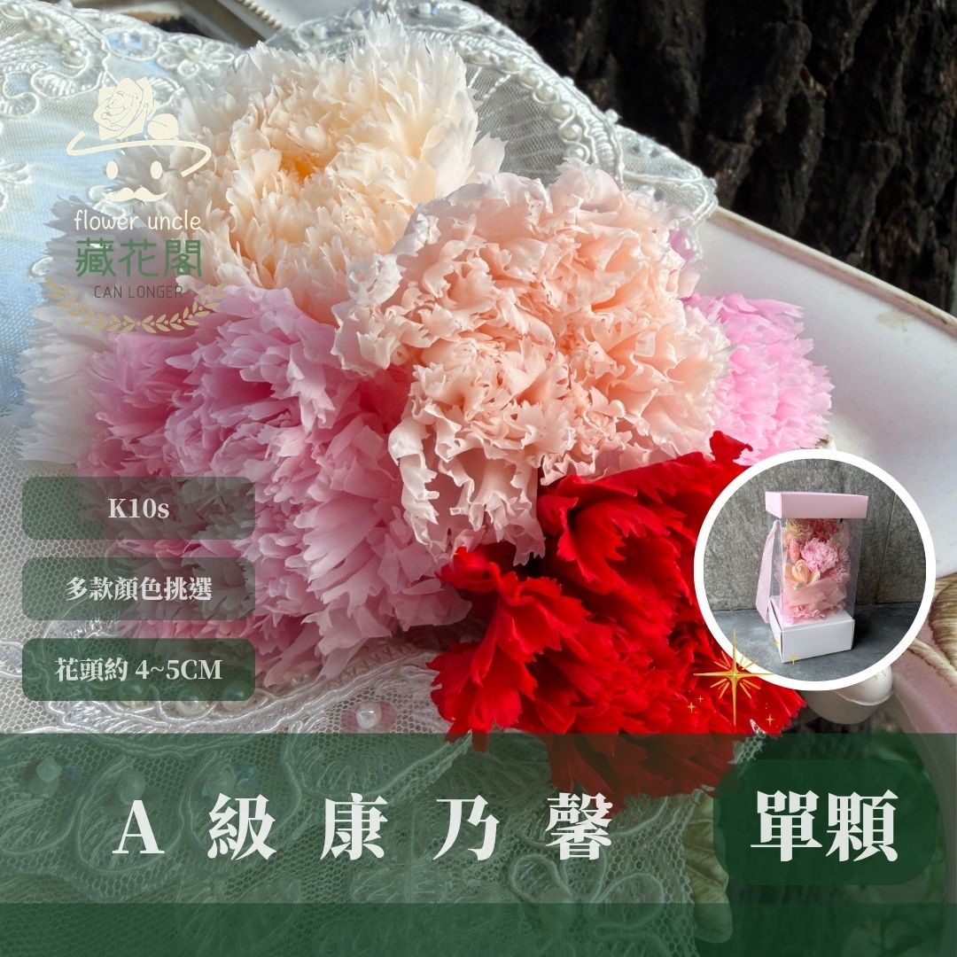 K10s A級康乃馨花頭｜全網最便宜，虧本賣｜10朵只要285！進口永生約4~5cm康乃馨 康乃馨母親節花束材料 不凋花