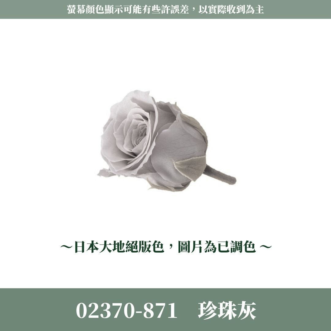 02370s 日本迷你玫瑰｜24輪小玫瑰 2~3cm玫瑰 日本大地農園 日本進口永生玫瑰花頭 永生花 不凋花 乾燥花