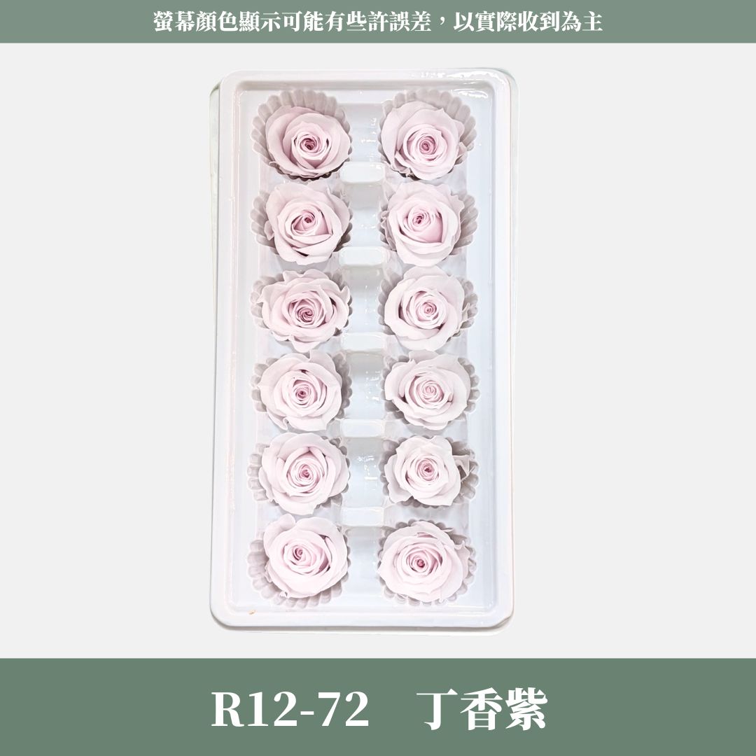 R12 A級十二輪玫瑰｜買12朵省120元｜約 3-4 cm｜花藝師必買 不凋大玫瑰花頭 永生玫瑰 花束材料 捧花材料
