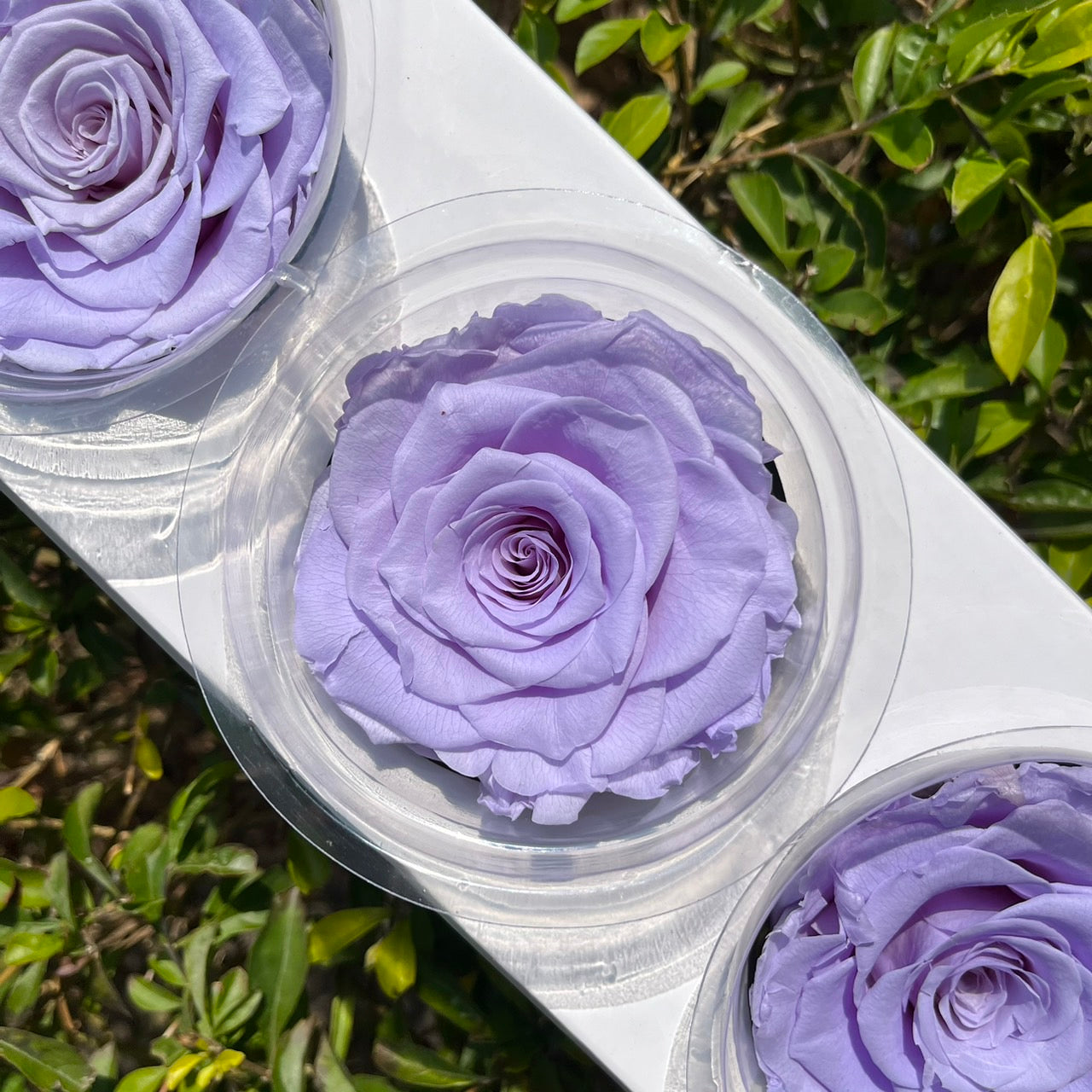 ✿ 台灣現貨 ✿ R03 永生拼接玫瑰7~8cm玫瑰 Ａ級 3朵裝 不凋花 永生花