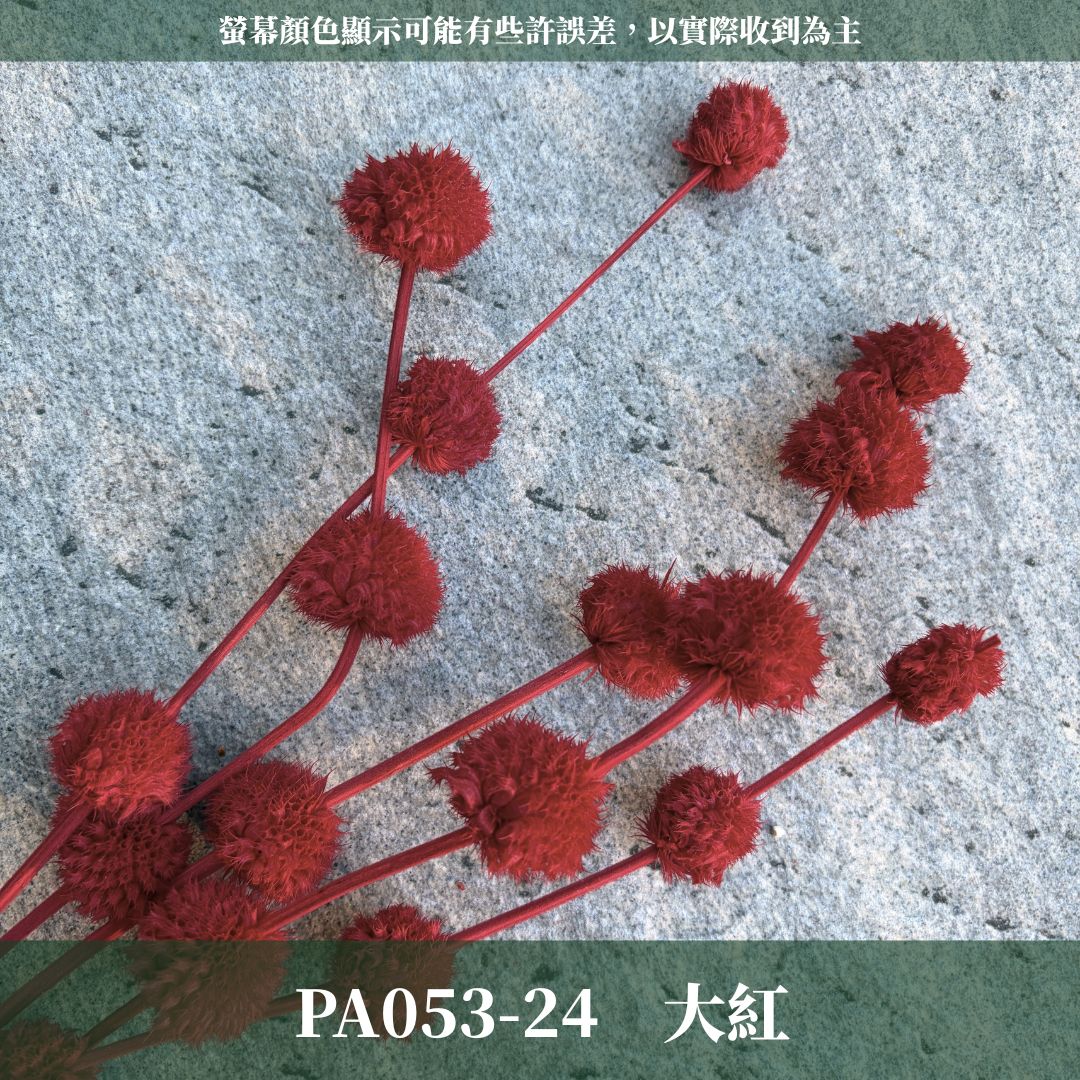 PA053 原裝永生棒棒糖｜公主風永生花 乾燥花 不凋花 永生花材批發 果實花 花藝材料 diy材料 花束 花禮 花圈