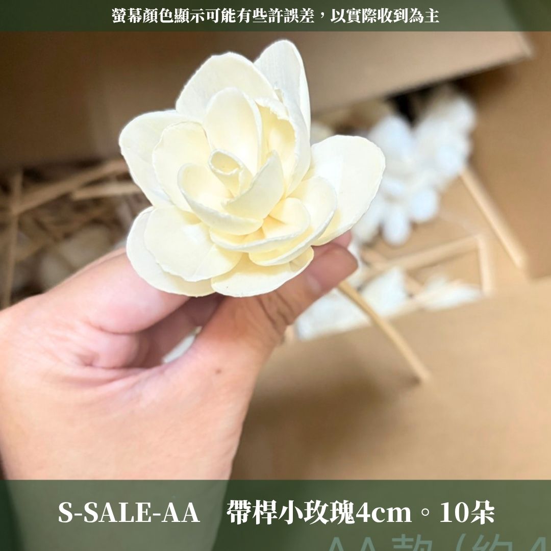 S-SALE-B 關店賠本出清｜大量的索拉花花頭(帶桿子)｜史上最便宜沒有之一要錢不要貨到八月底