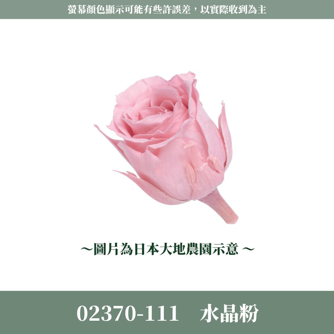 02370s 日本迷你玫瑰｜24輪小玫瑰 2~3cm玫瑰 日本大地農園 日本進口永生玫瑰花頭 永生花 不凋花 乾燥花