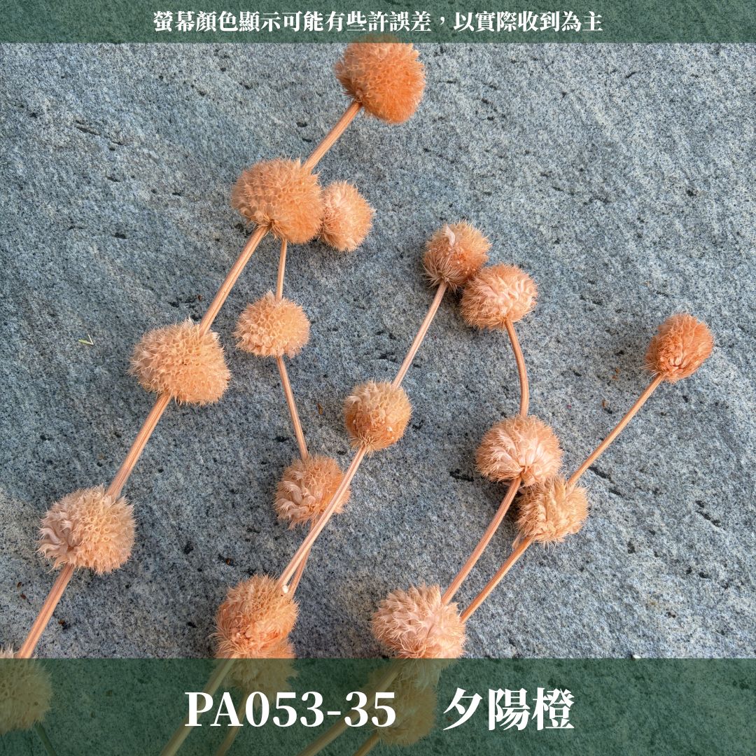 PA053 原裝永生棒棒糖｜公主風永生花 乾燥花 不凋花 永生花材批發 果實花 花藝材料 diy材料 花束 花禮 花圈