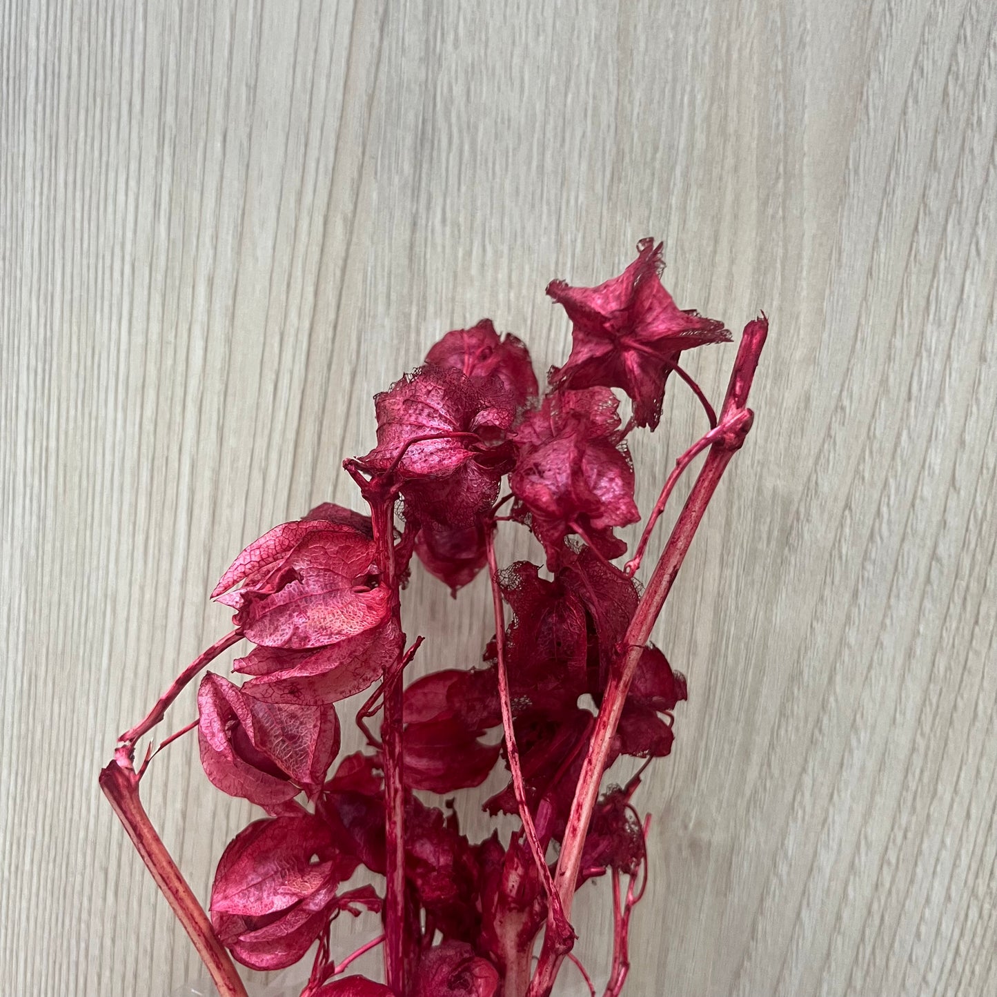 ✿ 台灣現貨 ✿ PA035s 風鈴果 小份量