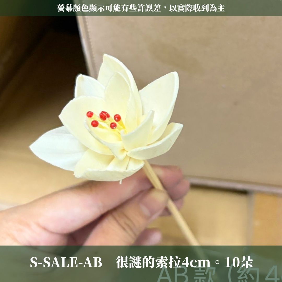 S-SALE-B 關店賠本出清｜大量的索拉花花頭(帶桿子)｜史上最便宜沒有之一要錢不要貨到八月底