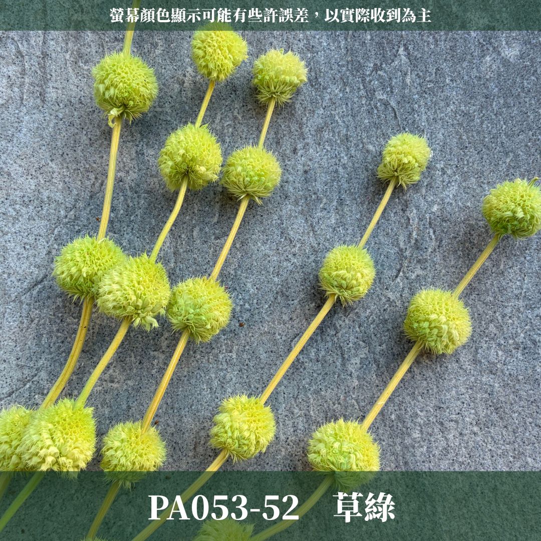 PA053 原裝永生棒棒糖｜公主風永生花 乾燥花 不凋花 永生花材批發 果實花 花藝材料 diy材料 花束 花禮 花圈