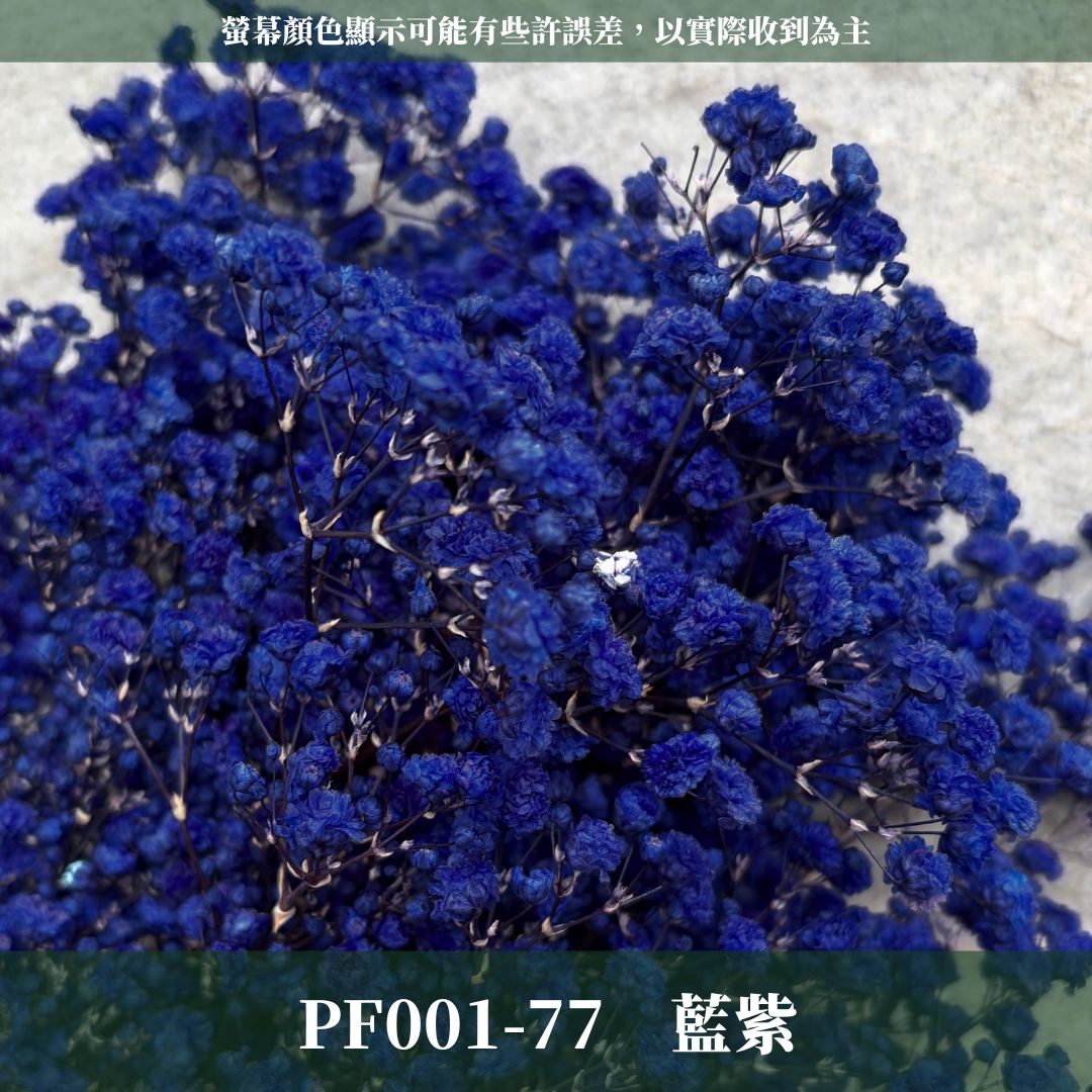 PF001 原裝滿天星｜買四送一！A級永生滿天星工廠直供 拍攝婚禮佈置 韓式不凋滿天星 抖音款永生花 乾燥花 桌花花束