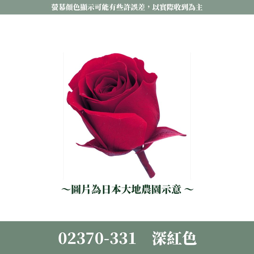 02370s 日本迷你玫瑰｜24輪小玫瑰 2~3cm玫瑰 日本大地農園 日本進口永生玫瑰花頭 永生花 不凋花 乾燥花