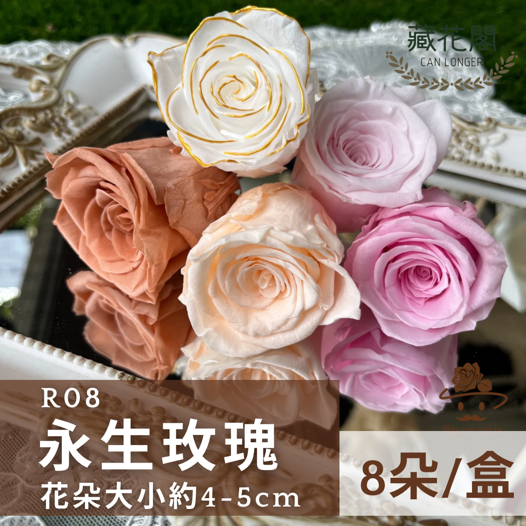 ✿ 台灣現貨 ✿ R08 永生玫瑰 4-5cm 原裝 8朵裝 永生花