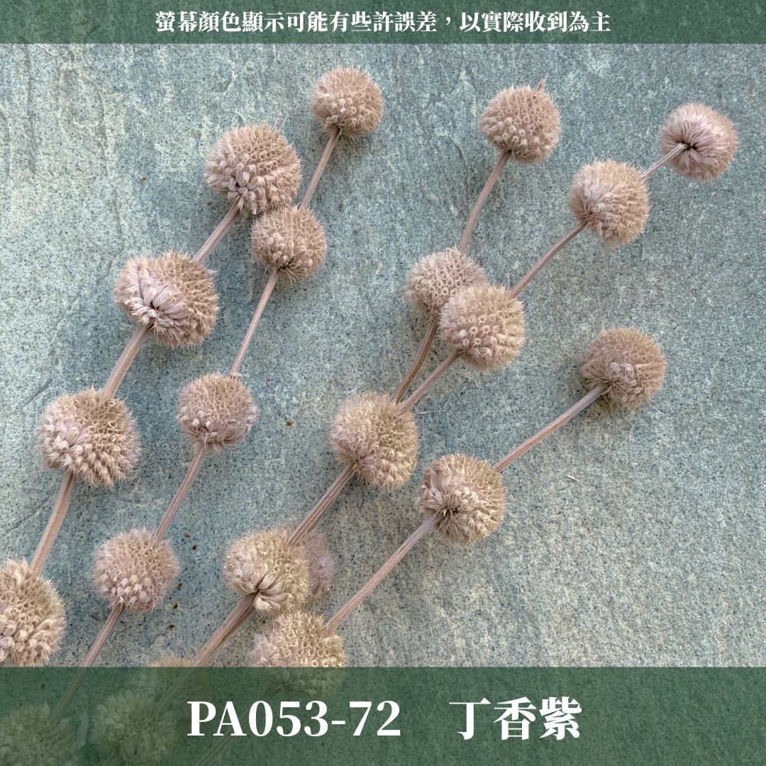 PA053 原裝永生棒棒糖｜公主風永生花 乾燥花 不凋花 永生花材批發 果實花 花藝材料 diy材料 花束 花禮 花圈