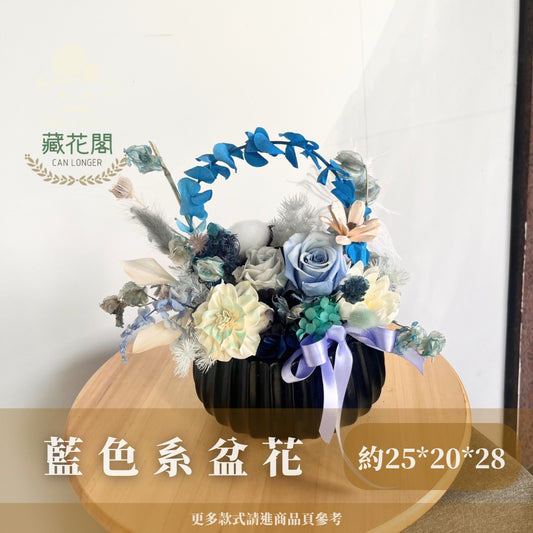 Gift-F073 藍色系陶瓷盆花 藍色 盆花 開幕 送禮 慶賀 擺飾 裝飾品