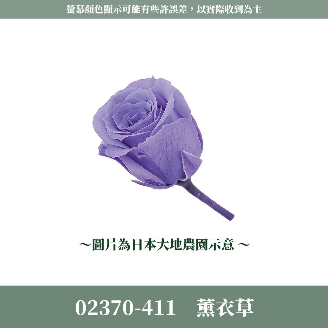 02370s 日本迷你玫瑰｜24輪小玫瑰 2~3cm玫瑰 日本大地農園 日本進口永生玫瑰花頭 永生花 不凋花 乾燥花