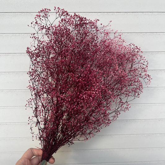 00015/00010迷你滿天星(漸層、亮片) 日本大地農園