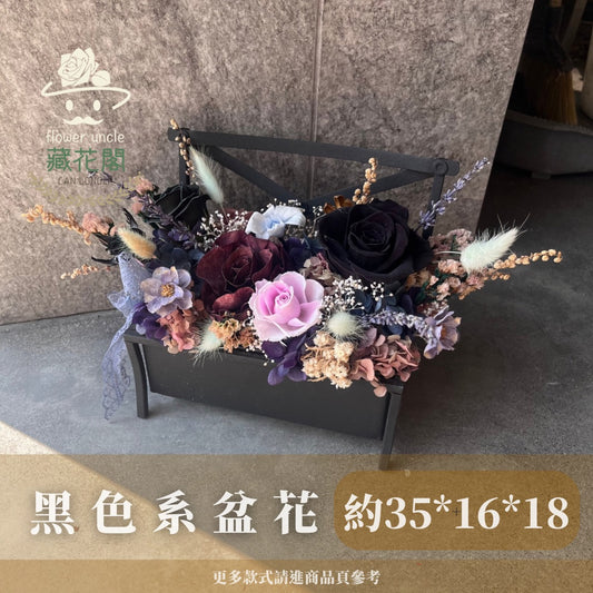 Gift-F086 黑色系長椅造型盆花 黑色 紫色 盆花 造型盆花 開幕 送禮 慶賀 裝飾 擺飾