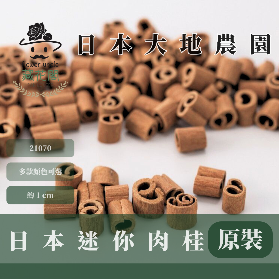 21070 原裝日本迷你肉桂(35g)|迷你肉桂 日本大地農園 台灣現貨 聖誕節裝飾品 肉桂棒 肉桂 聖誕 果實 桂皮 シナモン・ミニ 迷你肉桂條 聖誕花圈材料 花藝設計 聖誕樹裝飾 清化桂 清華桂