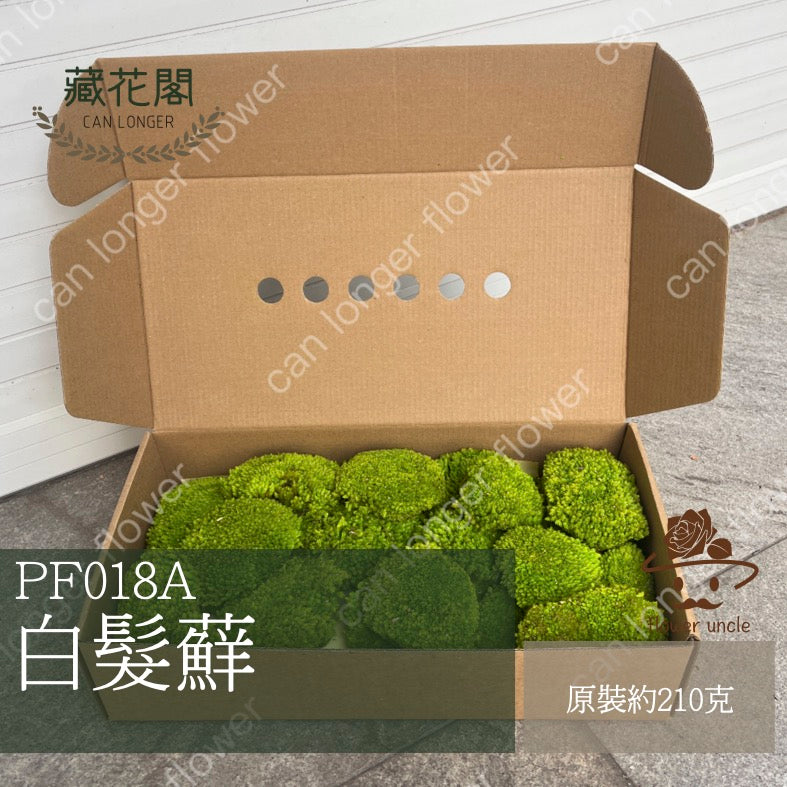 ✿ 台灣現貨 ✿ PF018A 白髮蘚 苔蘚 模型草地 原裝/盒