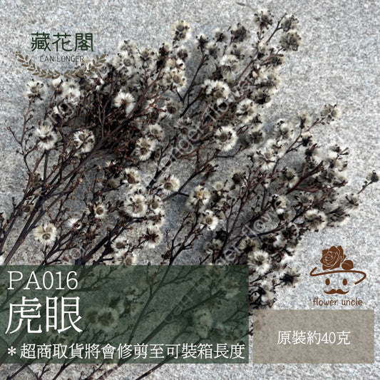 ✿ 台灣現貨 ✿ pa016 虎眼 永生 原裝