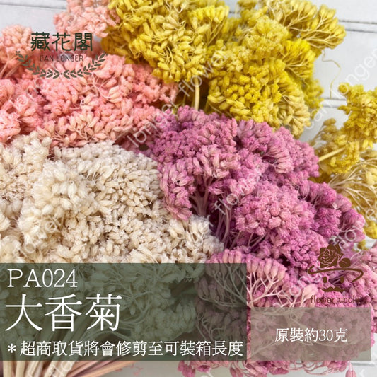 ✿ 台灣現貨 ✿ PA024s 大香菊 小包(副本)
