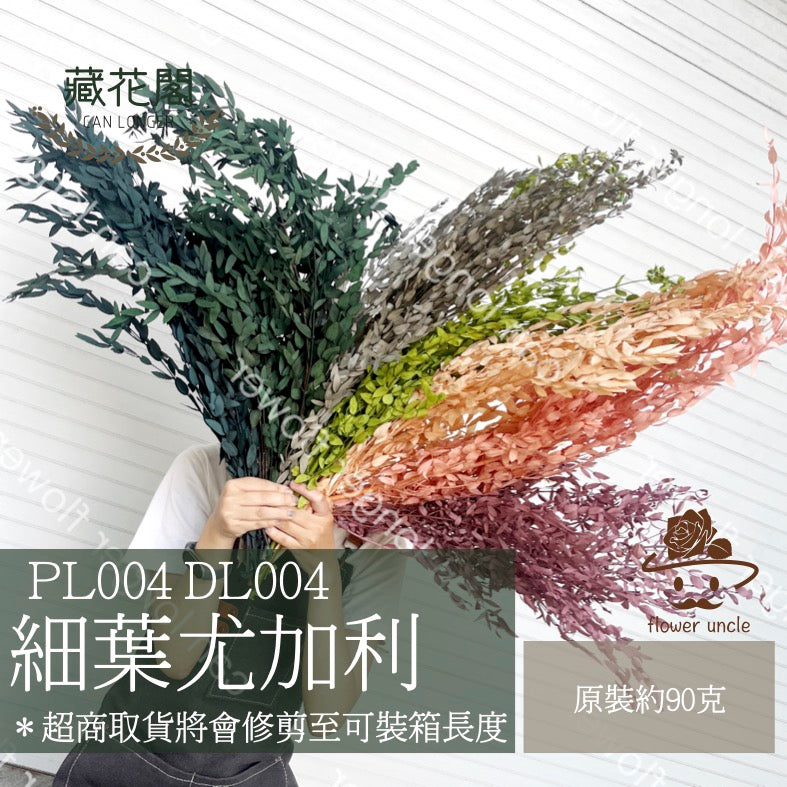 ✿ 台灣現貨 ✿ PL004 DL004 細葉尤加利