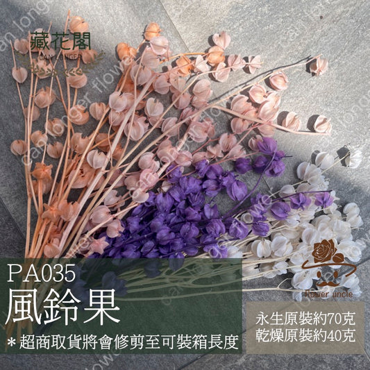 ✿ 台灣現貨 ✿ PA035 風鈴果