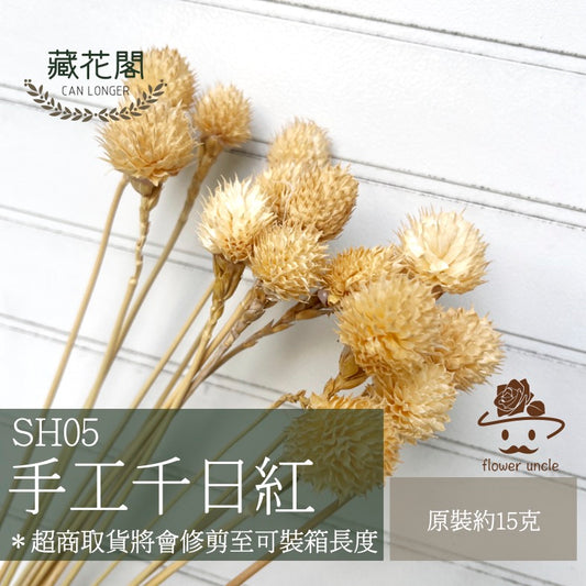 ✿ 台灣現貨 ✿ SH05-00 手工千日紅 草莓果