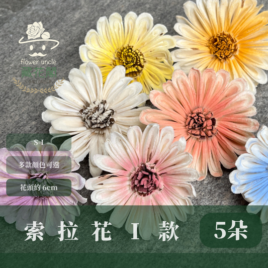 S-I 索拉花 6CM 通草花 擴香花 太陽菊 非洲太陽 台灣現貨