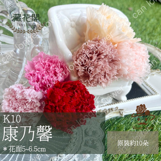 ✿ 台灣現貨 ✿ 花大伯 K10 永生康乃馨 3~4cm Ａ級  10朵裝 色彩款式齊全 不凋花 不凋康乃馨 母親節