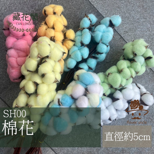 ✿ 台灣現貨 ✿ SH00棉花 原裝 十支裝 手工花