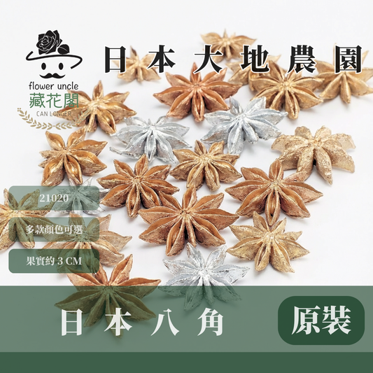 21020 原裝日本八角｜銀色八角 金色八角 鉑金八角 乾燥八角 日本大地農園 進口花材 日本乾燥花 日本花材 スターアニス シルバー プラチナ ゴールド 21020-902 21020-912 21020-932 大茴香 八角粒 大紅八角 大茴 八角花 聖誕花圈材料 花藝果實材料 果實 乾燥果實
