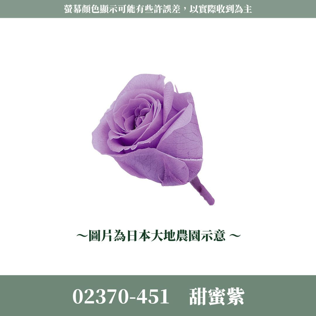 02370s 日本迷你玫瑰｜24輪小玫瑰 2~3cm玫瑰 日本大地農園 日本進口永生玫瑰花頭 永生花 不凋花 乾燥花