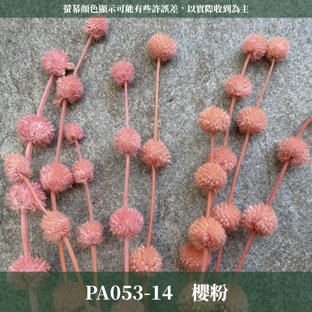 PA053 原裝永生棒棒糖｜公主風永生花 乾燥花 不凋花 永生花材批發 果實花 花藝材料 diy材料 花束 花禮 花圈