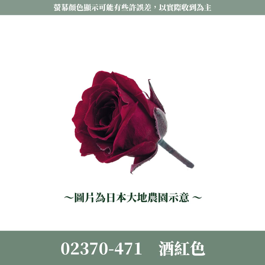 02370s 日本迷你玫瑰｜24輪小玫瑰 2~3cm玫瑰 日本大地農園 日本進口永生玫瑰花頭 永生花 不凋花 乾燥花