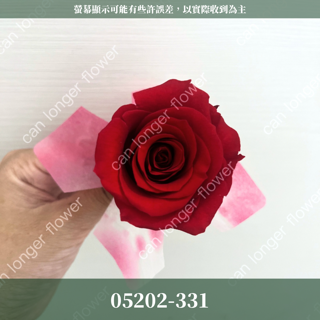 05202 大玫瑰