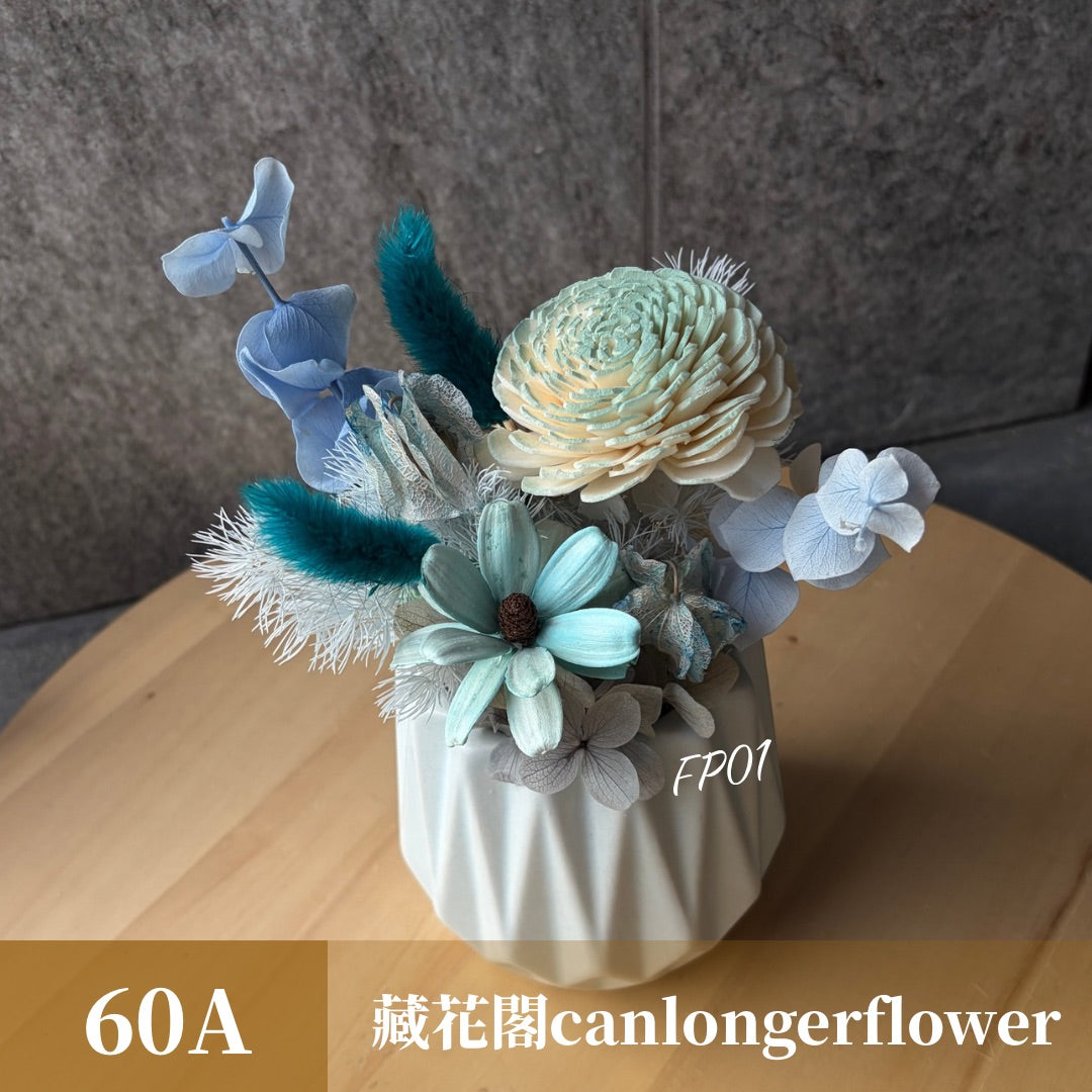 Gift-FP01 乾燥陶瓷小盆花 (含XS梯形透明提袋) 白色 粉色 綠色 藍色 盆花 開幕 送禮 慶賀 擺飾 裝飾品